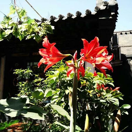 Pingyao Tian Yi Hostel Εξωτερικό φωτογραφία